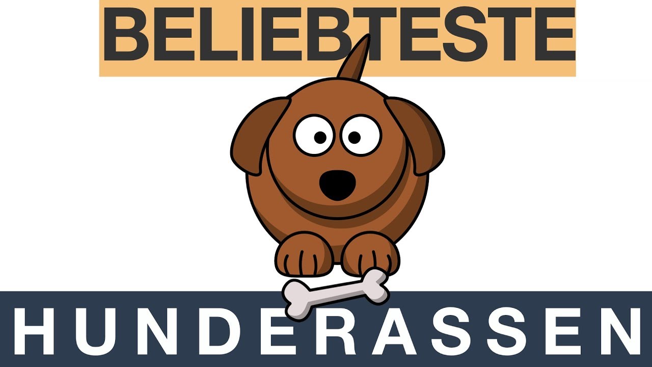 Top 25 Hunderassen