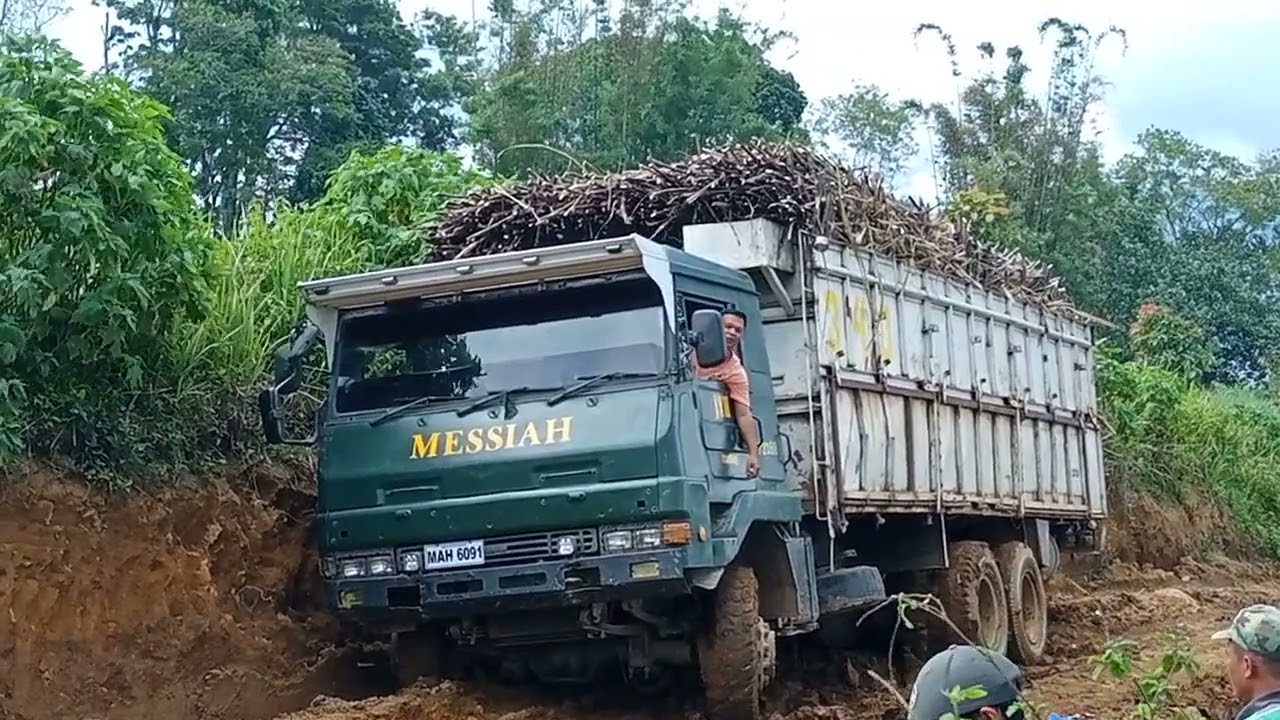 SUGAR CANE HARVEST IN BUKIDNON