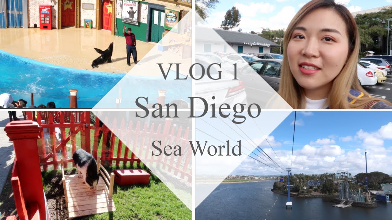 边边Vlog 1 | San Diego海洋世界 | 有企鹅有海狮有juju还有吃手手的鱼 | 还看到了ORCA！！