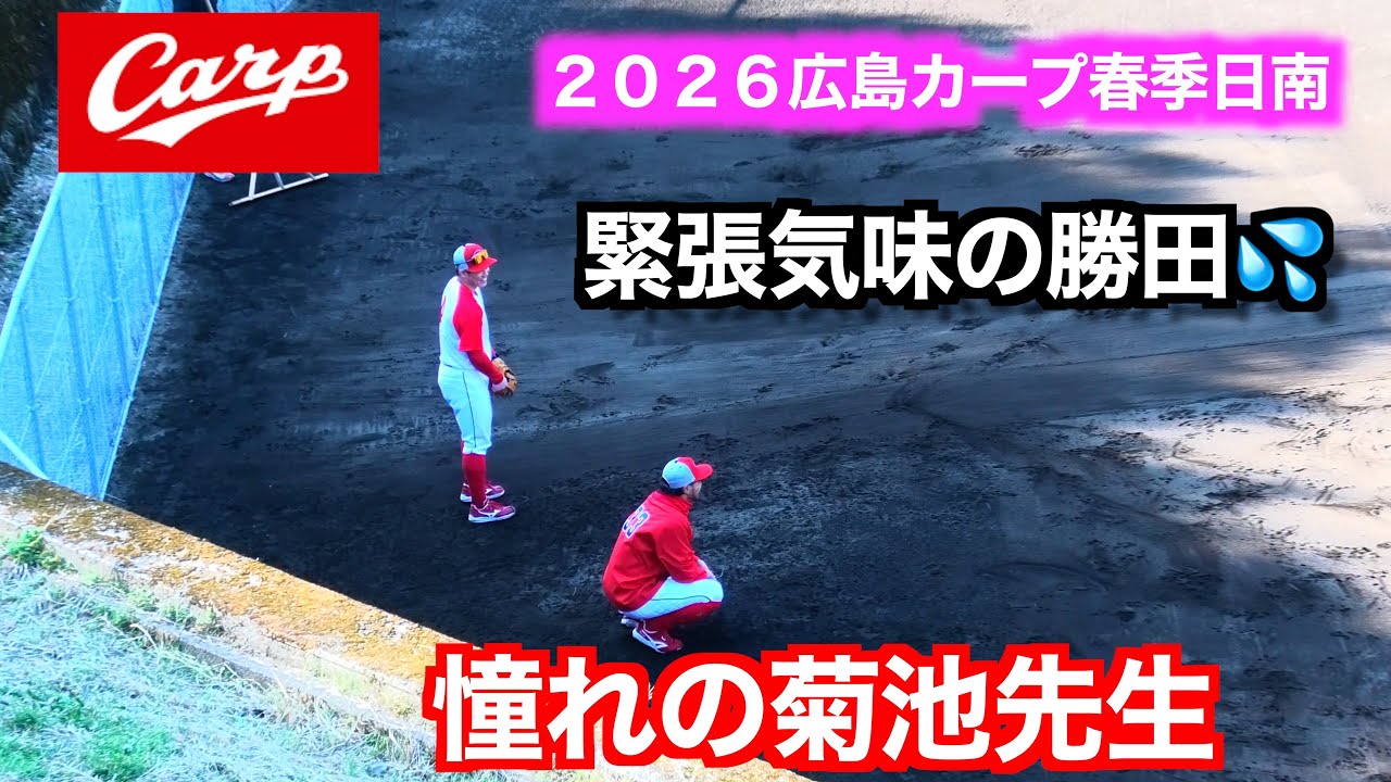 菊池涼介／矢野雅哉／勝田成／佐藤啓介／前川誠太／二俣翔一　守備練習③！【２０２６広島東洋カープ春季日南キャンプ】