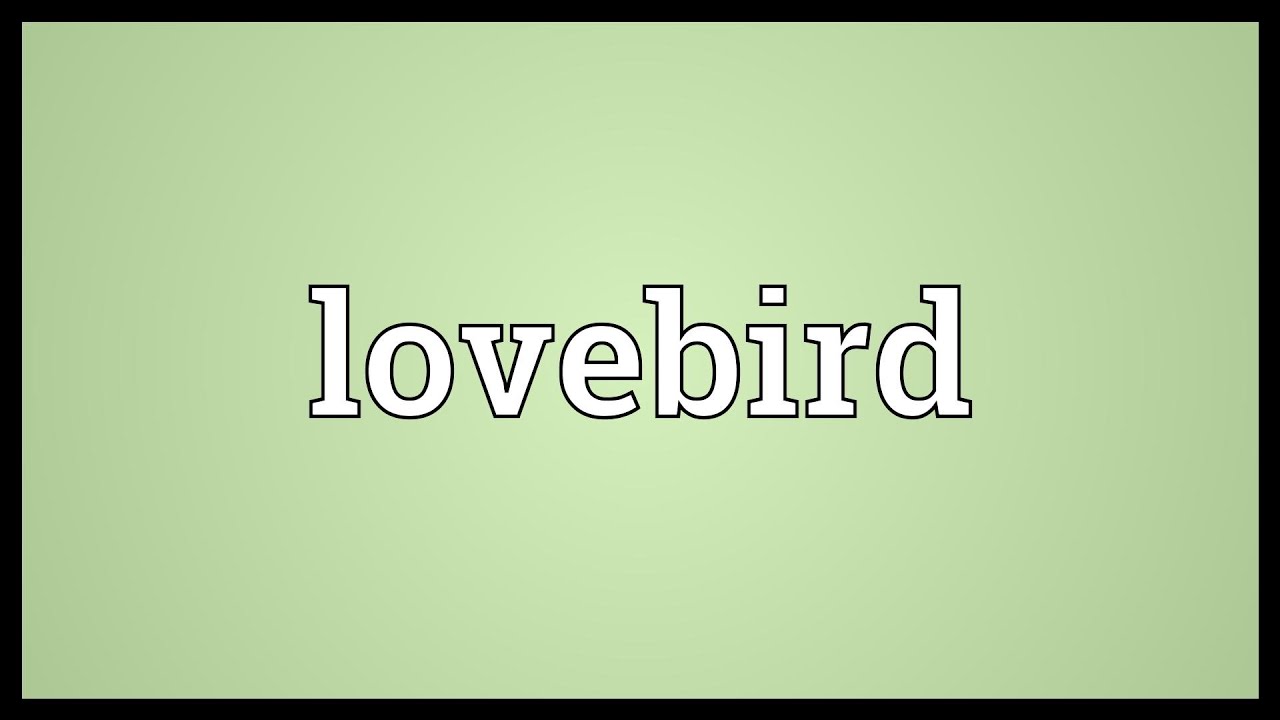 Lovebird Meaning