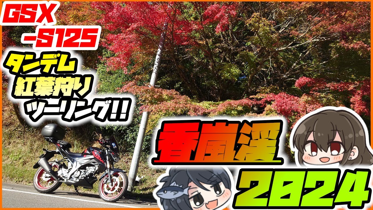 【愛知県No.1紅葉スポット】大混雑の香嵐渓もバイクの特権つかえば余裕余裕！！【ゆっくりモトブログ】【おツナさん】