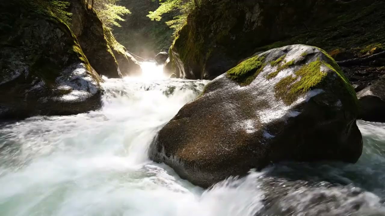 Is Listening to Nature Sounds the SECRET to Better Sleep?🌿Vital Nature Sounds