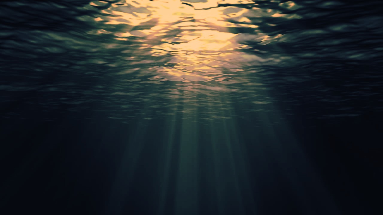 The [REC]Vibe — Islands In The Deep