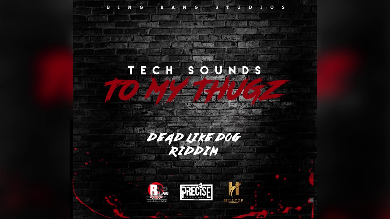 Tech Sounds - To My Thugz (Official Audio)