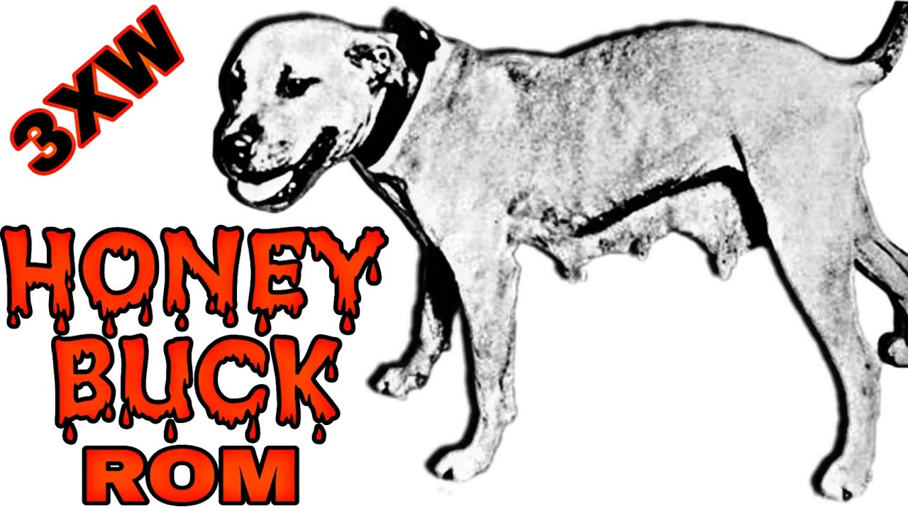 History DOGFIGHT - Honeybunch Champion ROM - Three-time winner in Pitbull Fighting #bulls  #dogfight