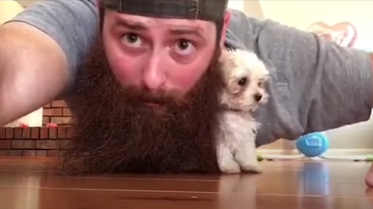 Cute Baby Puppies: Funny Animals Videos Compilation
