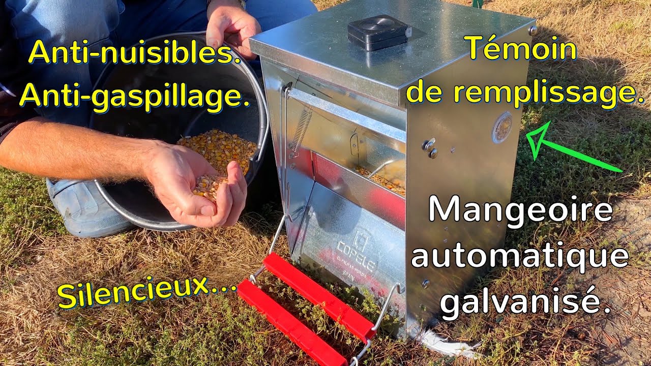Mangeoire automatique améliorée. Anti-nuisibles, anti-gaspillage.
