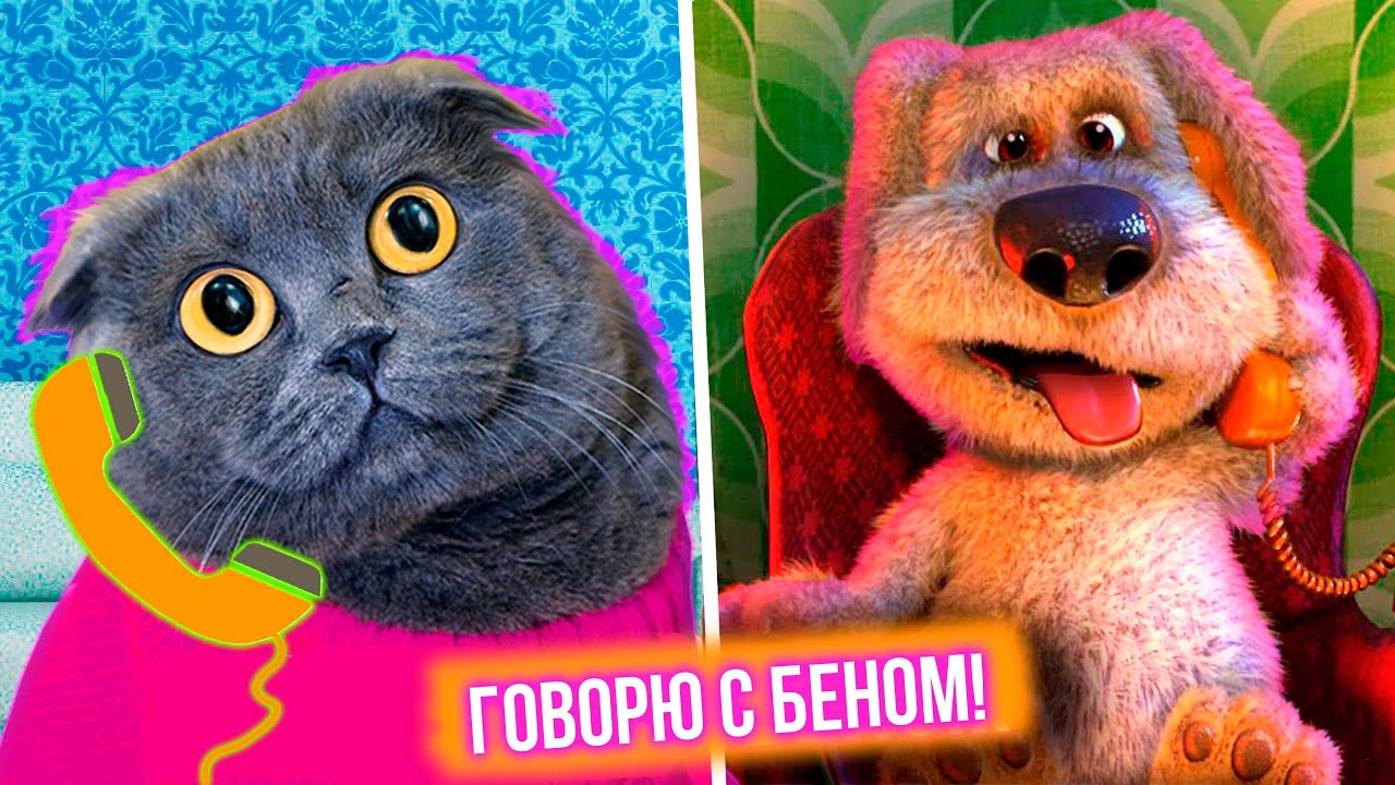 ГОВОРЮ С БЕНОМ | ГОВОРЯЩИЙ БЕН ЛЮБИТ МЕНЯ !? ОН РАССКАЗАЛ ПРАВДУ о ВИКЕ!