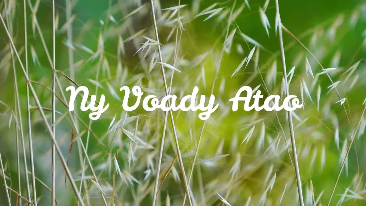 TIARAY Ankasitraho  Lyrics Vid&eacute;o