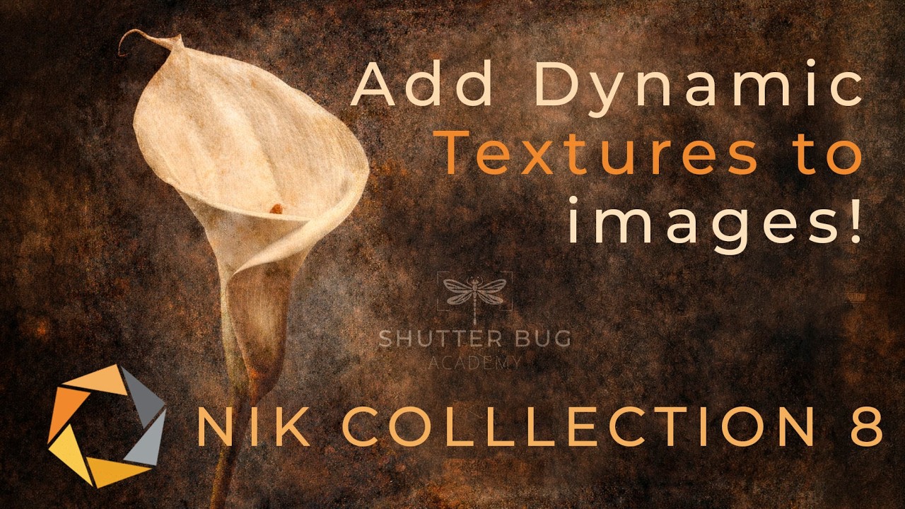 Nik Collection 8 Plugins Explained | Add Texture for Dynamic Photographs