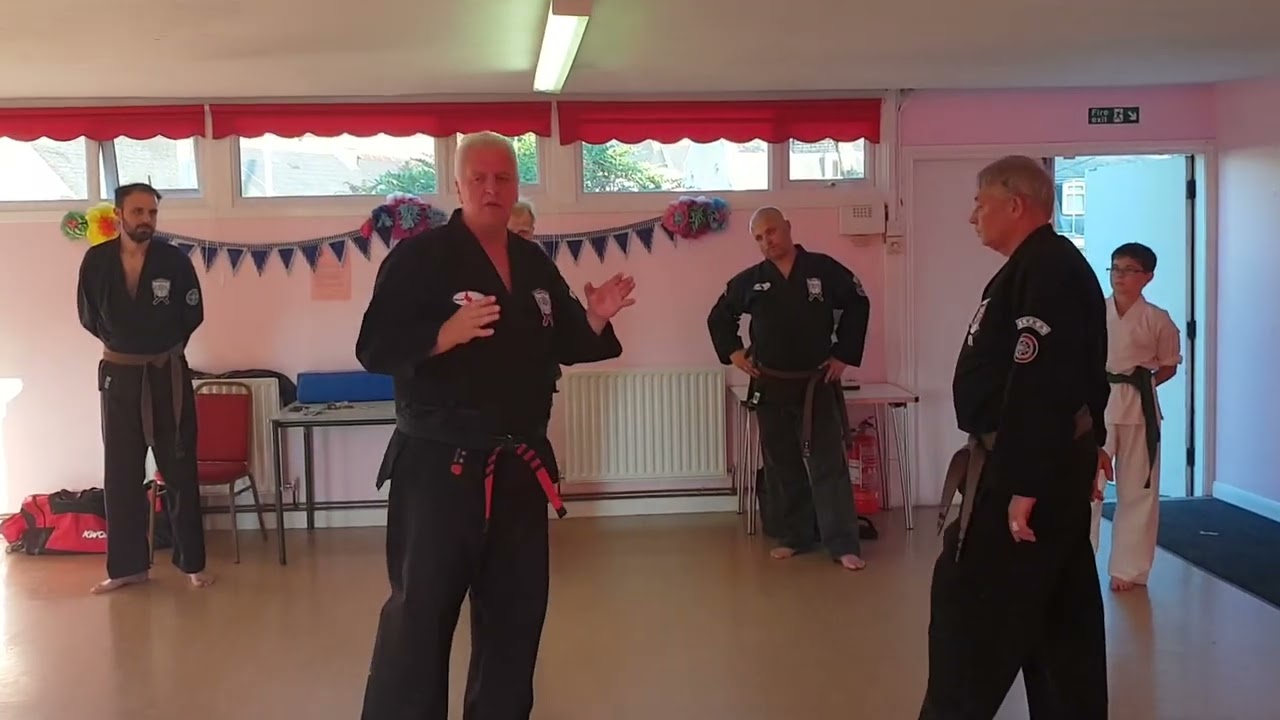 Kenpo Insights 7. Kenpo Karate Self Defence Technique Flashing Wings