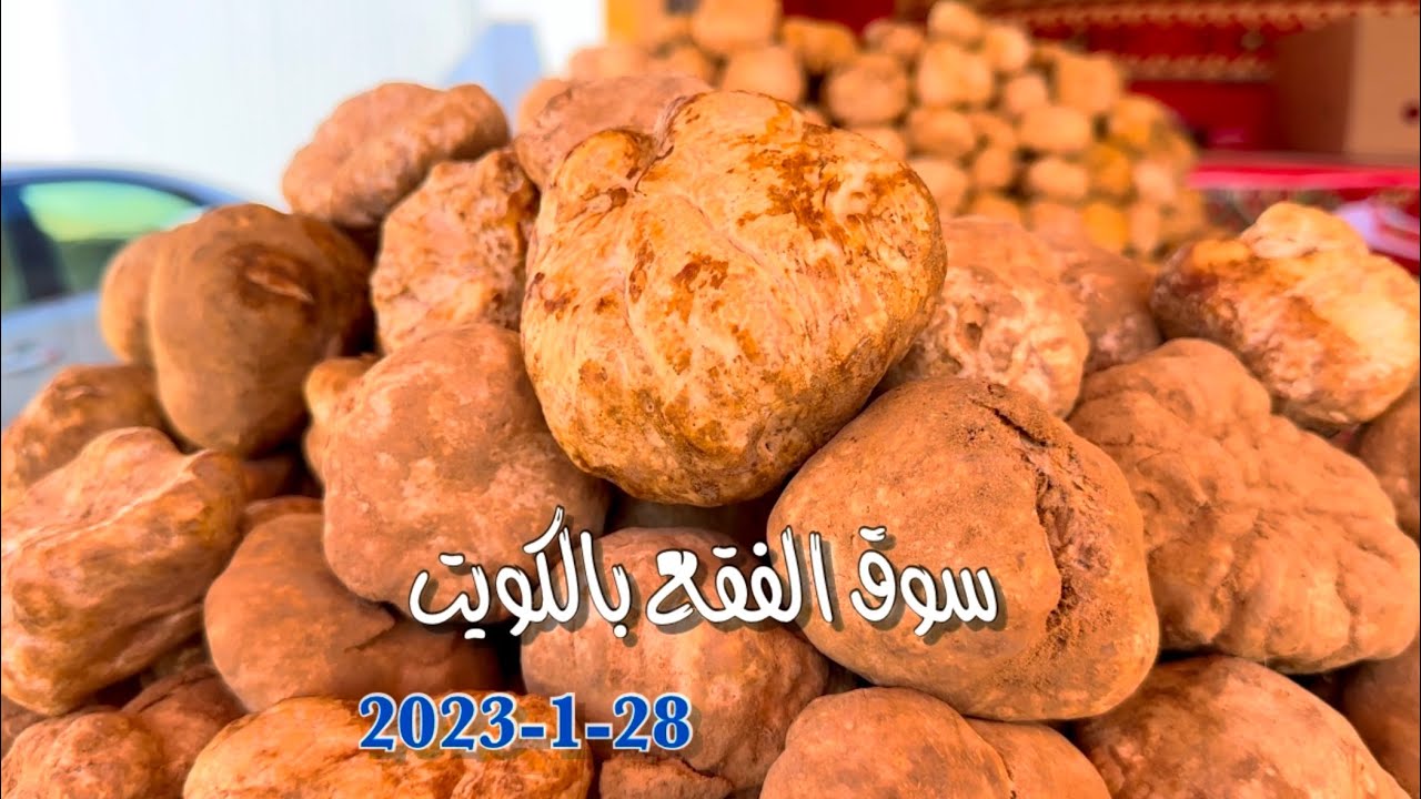 #سوق #الفقع ب #الكويت #الكما Al-Faqqa market in #Kuwait #Al-Kama#