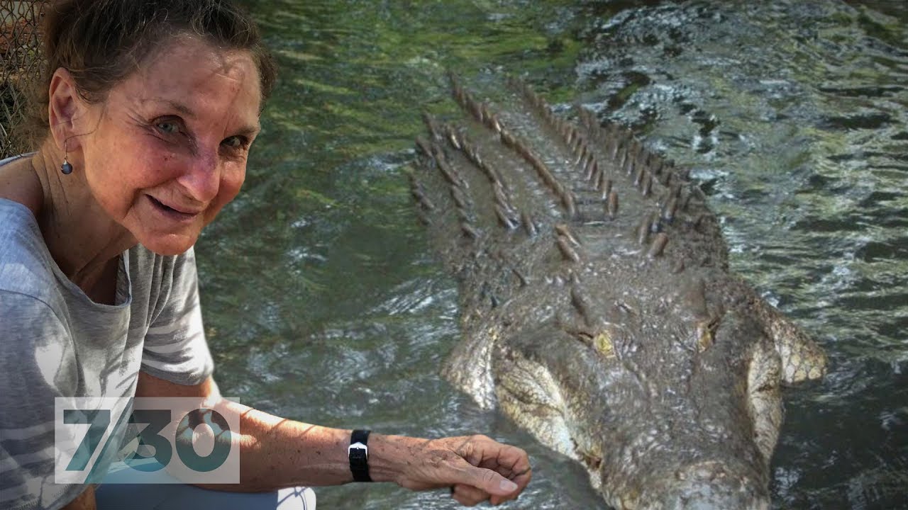 Reviving Malcolm Douglas's animal park with the biggest, baddest crocs of the Kimberley | 7.30