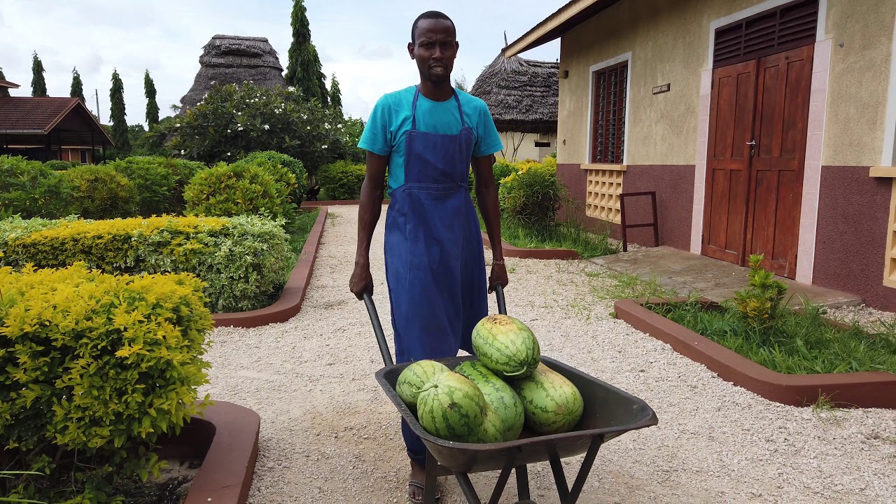 Farmers Court & Tamani Junior School Mpeketoni Kenya 2019