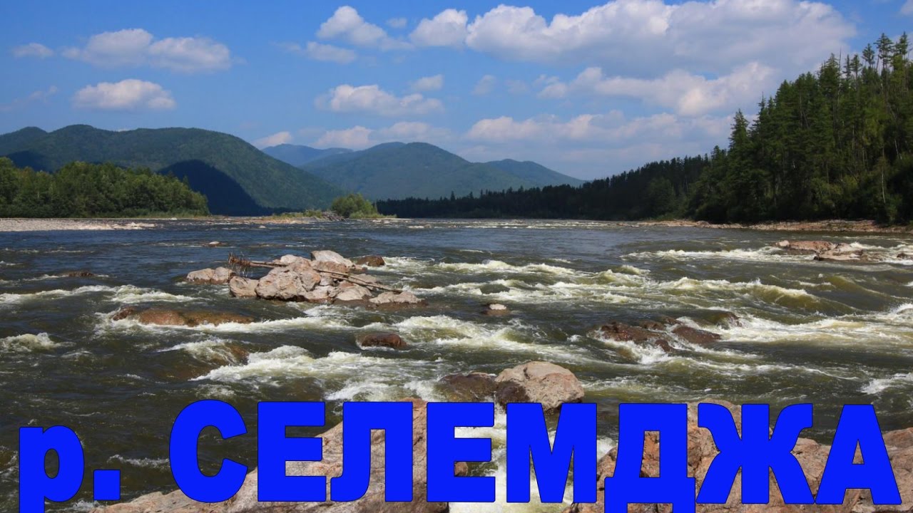 река Селемджа. Август 2011