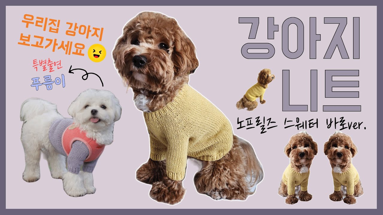 [대바늘] 우리집 강아지 옷 뜨기 / 강아지 탑다운 쉽게 뜨는법 / 강아지 탑다운 뜨기 / How to Knit for lovely dog