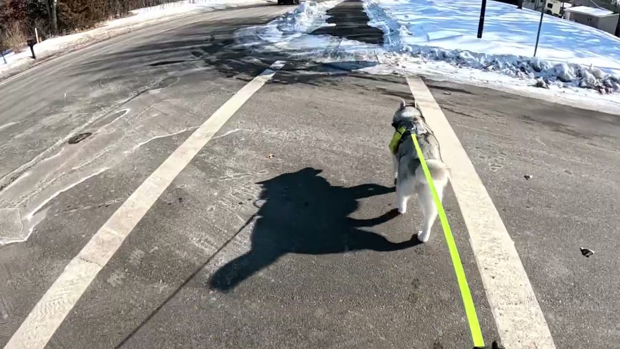 19  Walking with Hailey