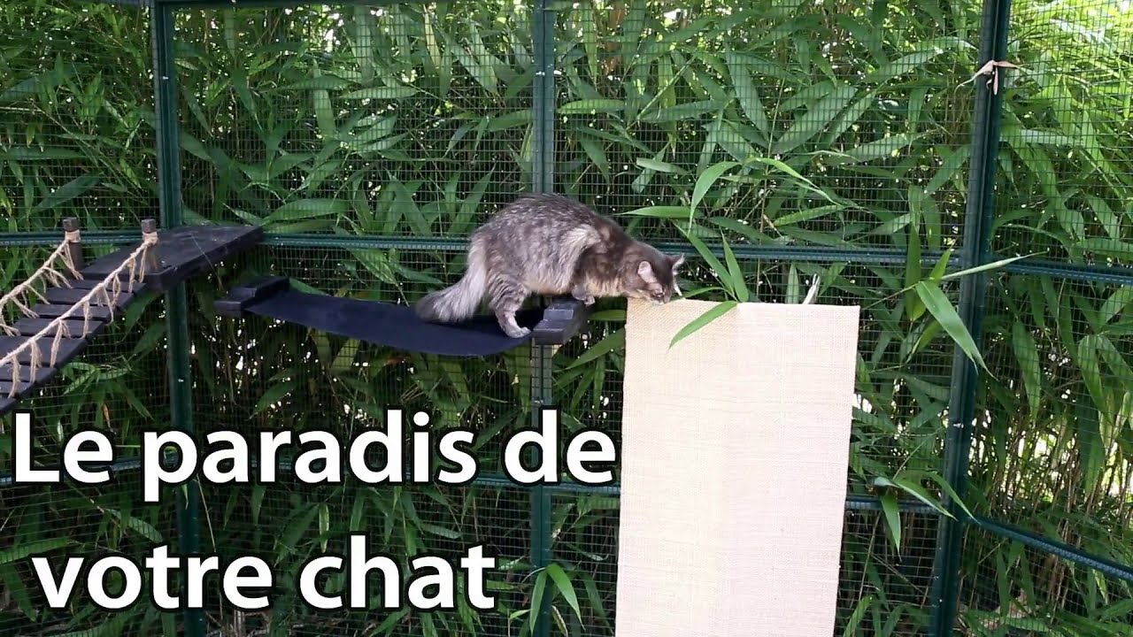 Enclos pour chats montecristo 350