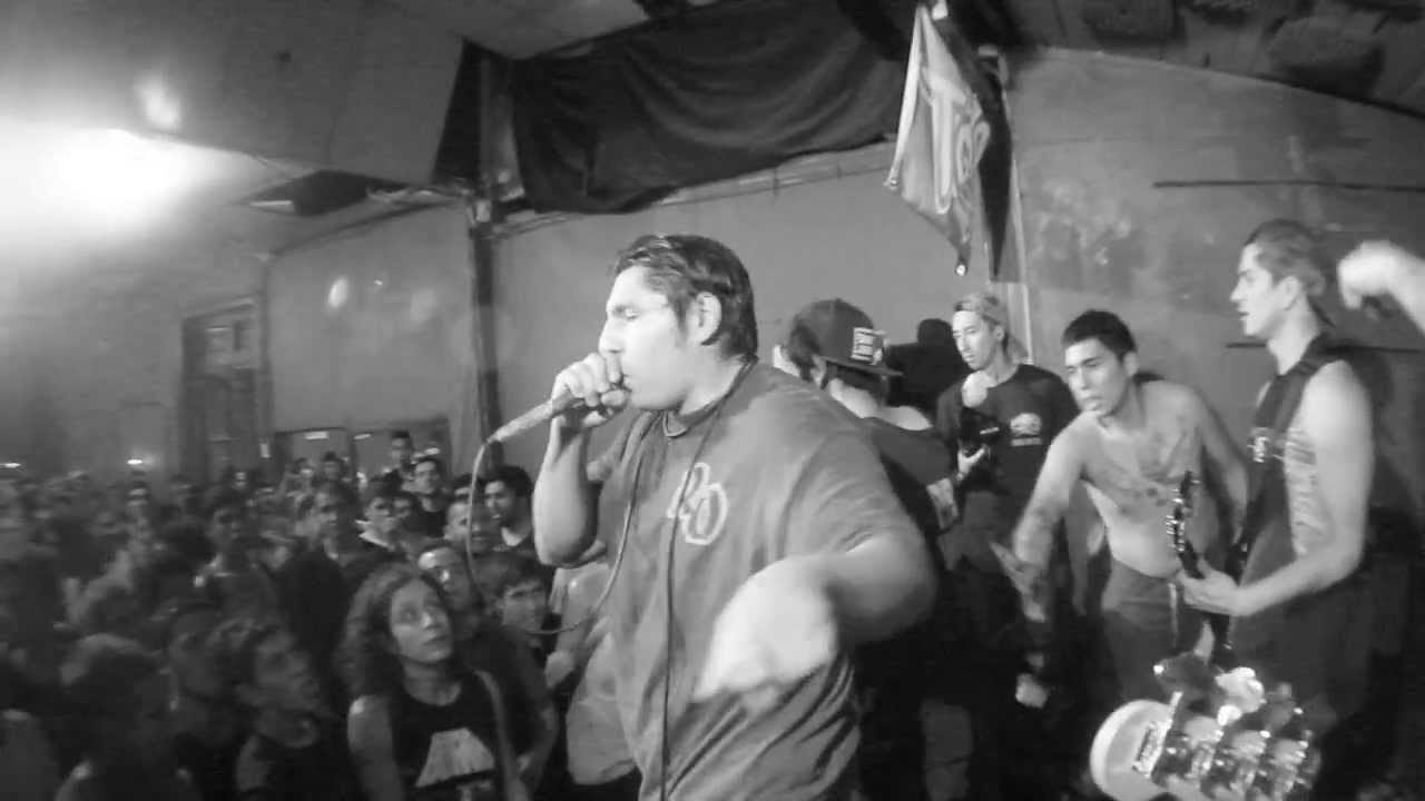ROTTING OUT  FULL SET CHILE