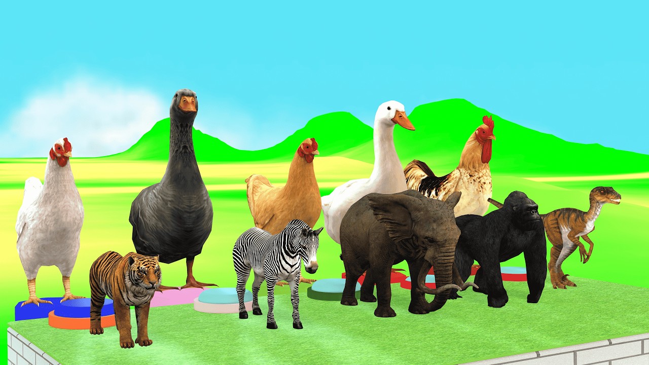 Long Slide Game With Cow Elephant Gorilla Hippopotamus Tiger 3d Animal Game / ANIMATION TOONS