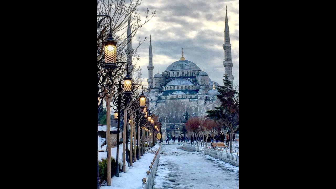 AlMoghny 17