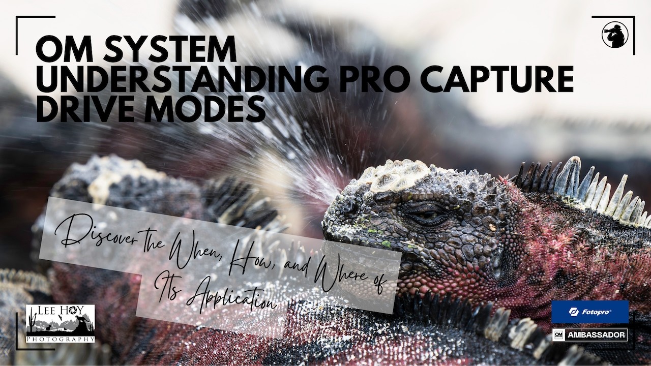 Pro Capture Drive Modes Final Video