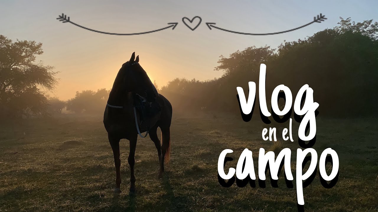 un dia en el campo con caballos 🐴🌾❤️‍🩹 || @alfo mtnez