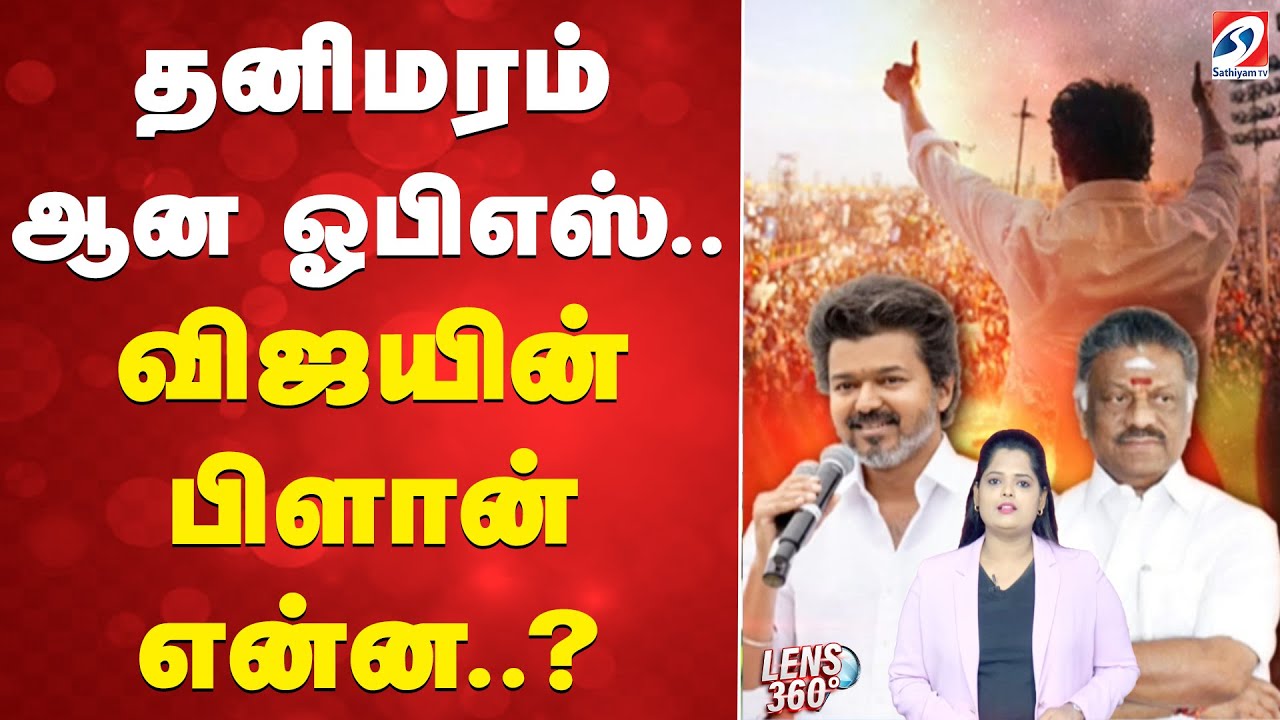 தனிமரம் ஆன ஓபிஎஸ்.. விஜயின் பிளான் என்ன..?