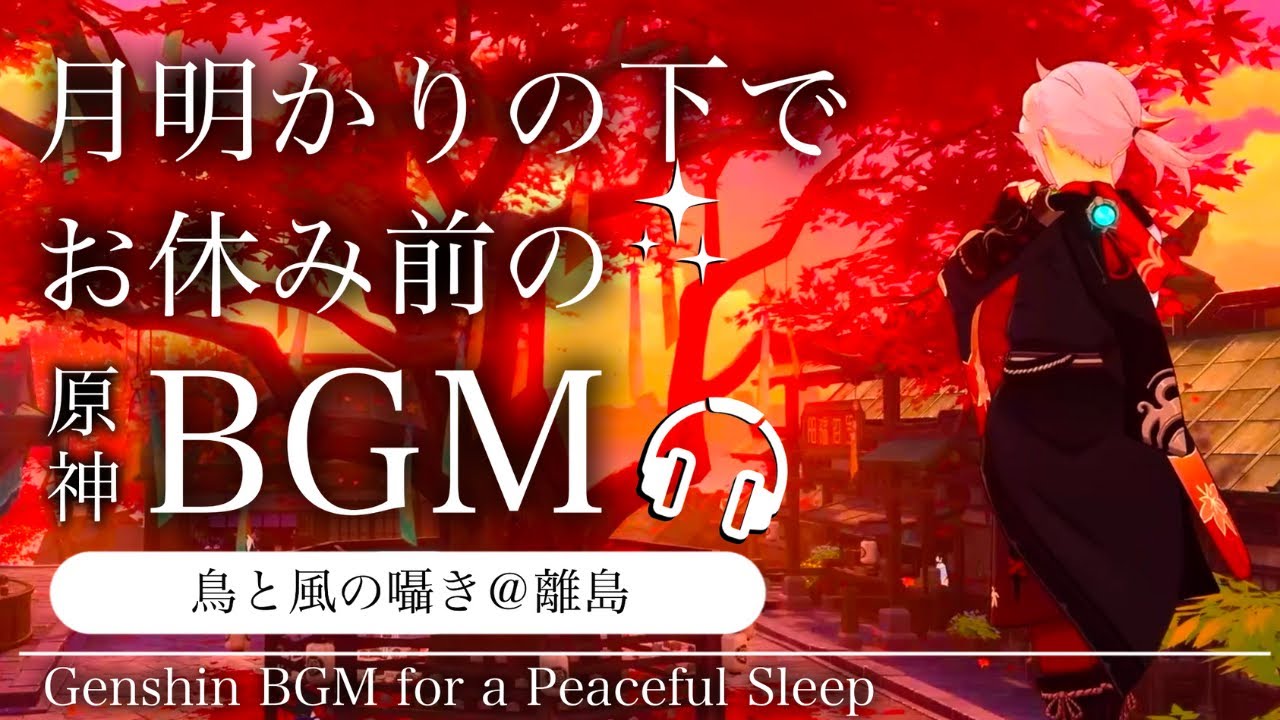 🎧️原神ASMR／睡眠用BGM🌙和葉と鳥と風の囁き鳥。@離島｜リラックス・安眠・作業用