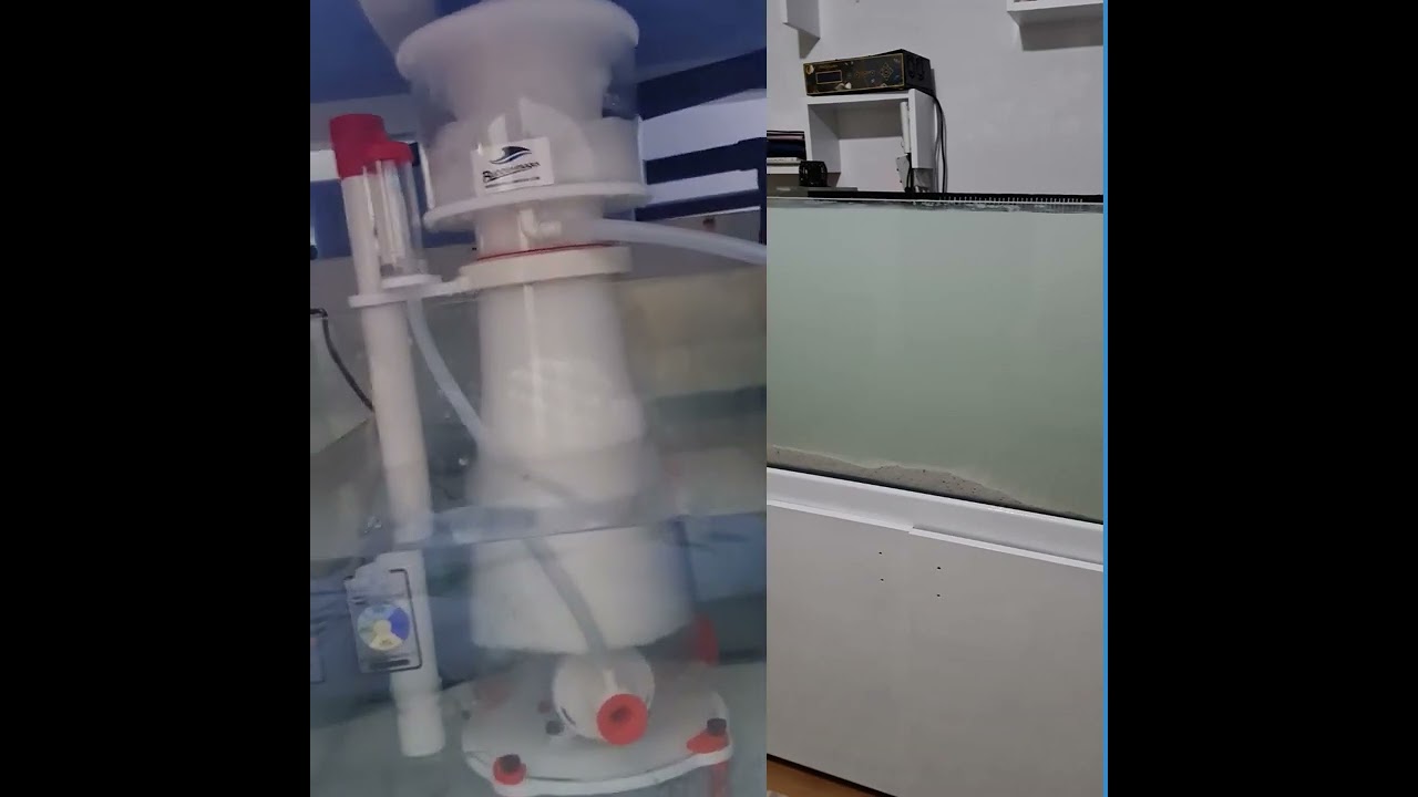 Deniz Akvaryumu Kurulumu Sonunda Bitti