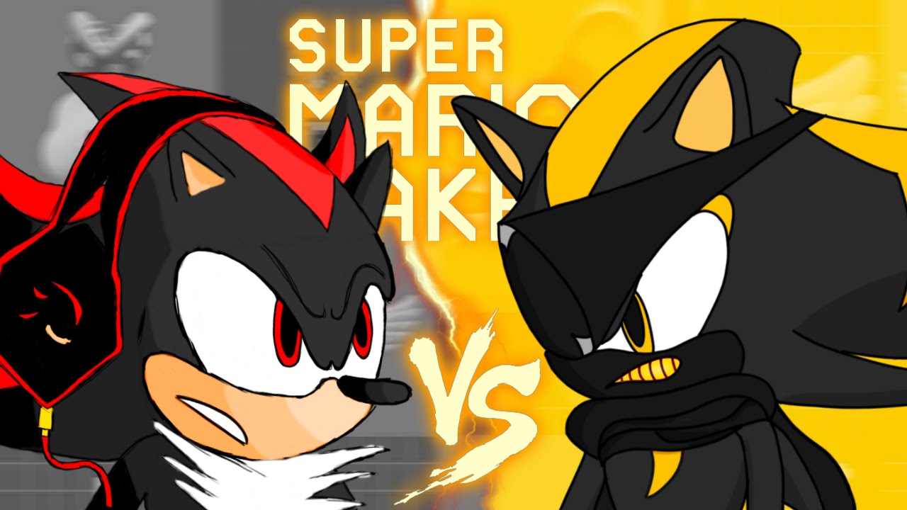 (UPDATE: READ DESCRIPTION) SUPER MARIO RACER!!! | twomanyraptors Vs. SHADOW.L.P // Super Mario Maker