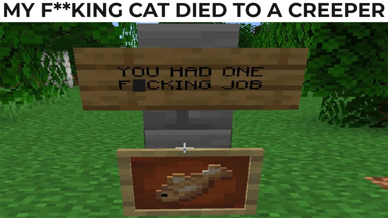 MINECRAFT MEMES 111