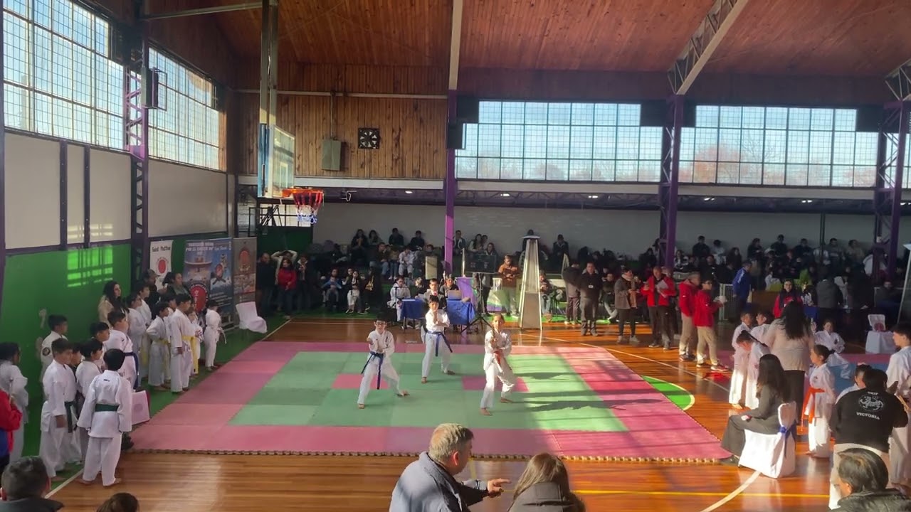 Kata equipo final. Torneo Perquenco 2025-6