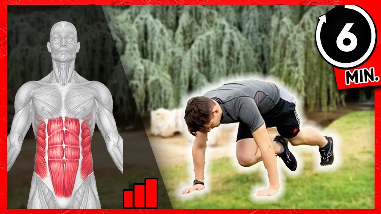Exercices ABDOMINAUX au POIDS DU CORPS - Rapide & Efficace