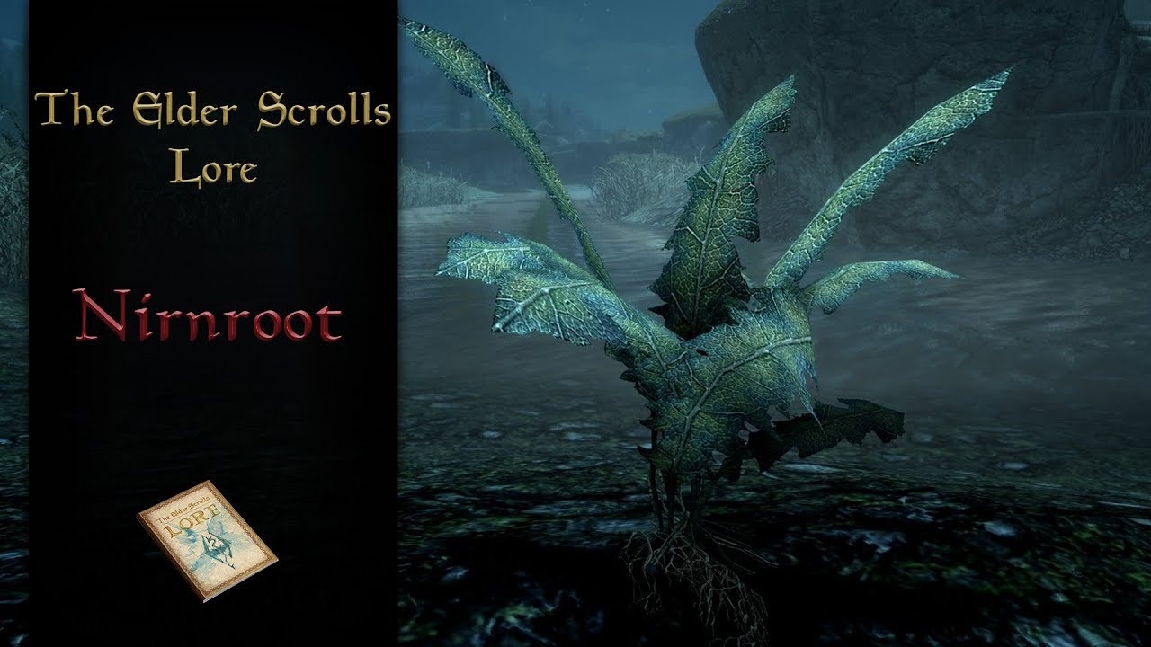 История корней Нирна и объяснение их звучания &mdash; The Elder Scrolls Lore