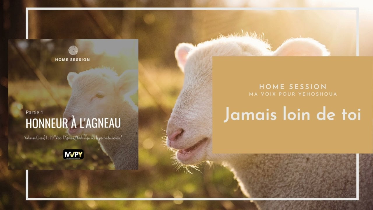 Jamais loin de toi