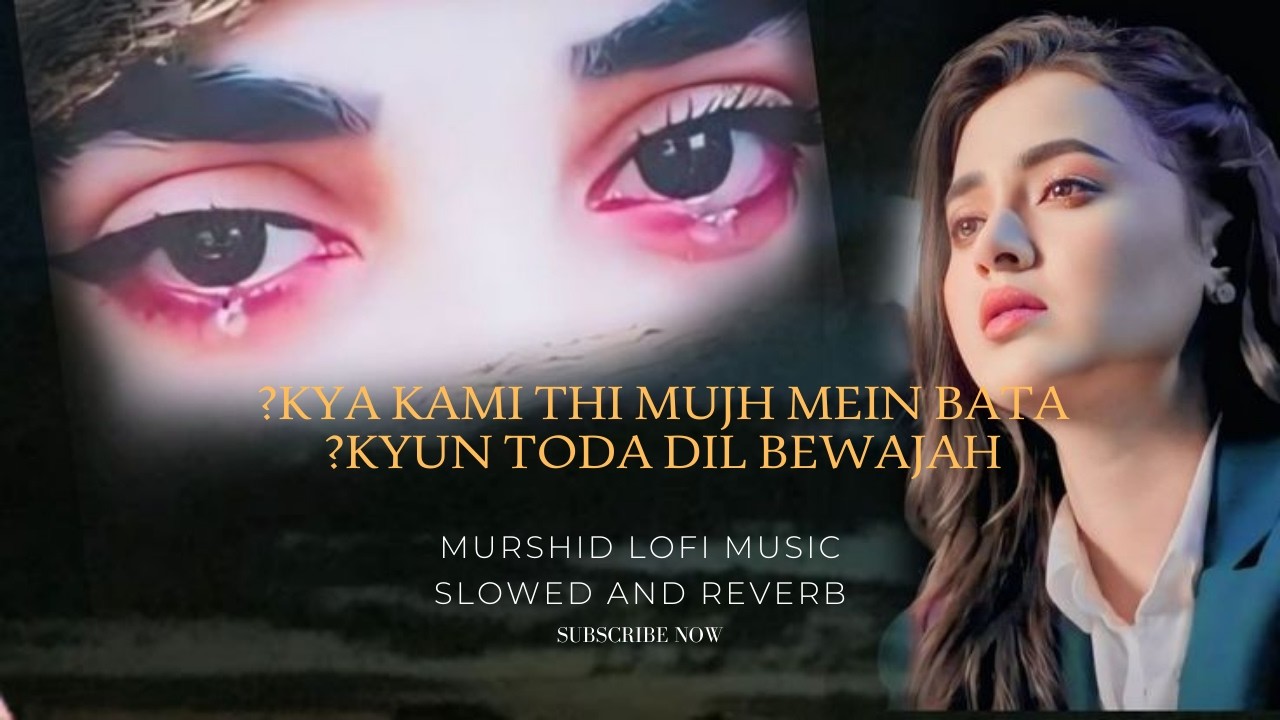 Kya kami thi mujh mein bata||Dil mera toot gaya…|Murshid Lofi Music