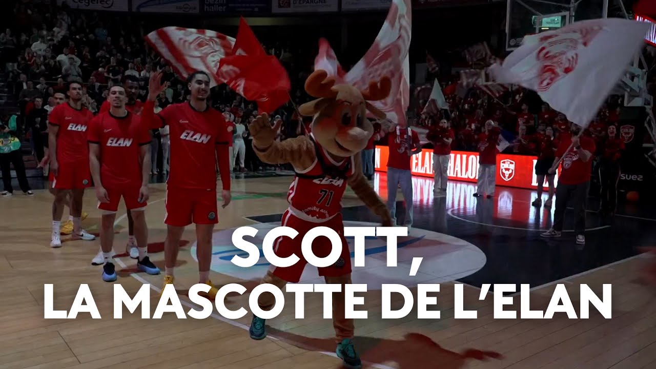 Scott, la mascotte de l'Elan Chalon
