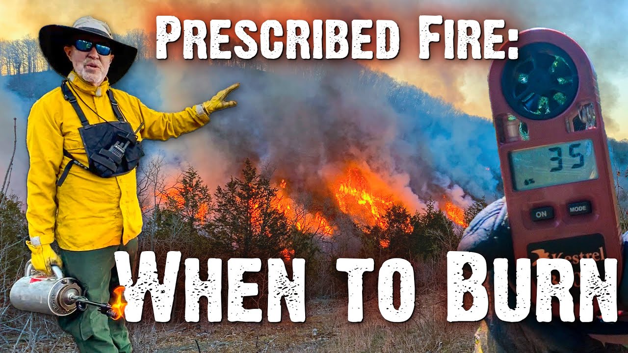 When to Burn: Dormant vs. Growing Season Fires & Weather Considerations (855)