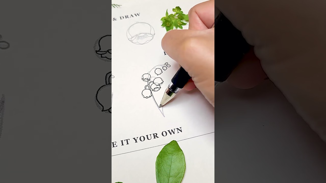Drawing Lily of the Valley the Best way I know How ✨