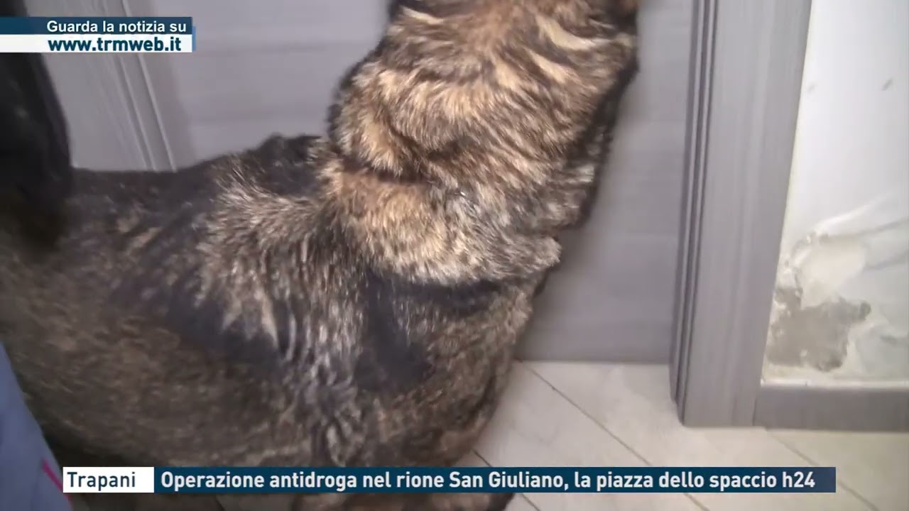 Trapani - Operazione antidroga nel rione San Giuliano, la piazza dello spaccio h24