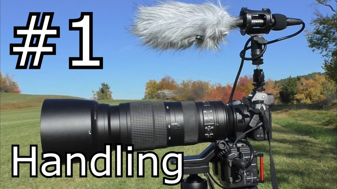 Handling of the Nikon Z6 and the Nikkor 200-500 f/5.6 - part 01 - Camera Gear for Wildlife Filming