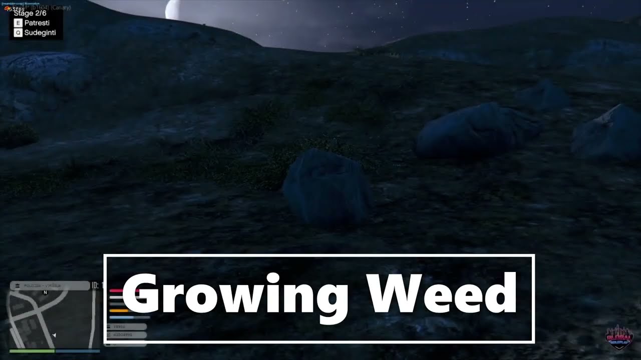 FiveM Esx Growing Weed