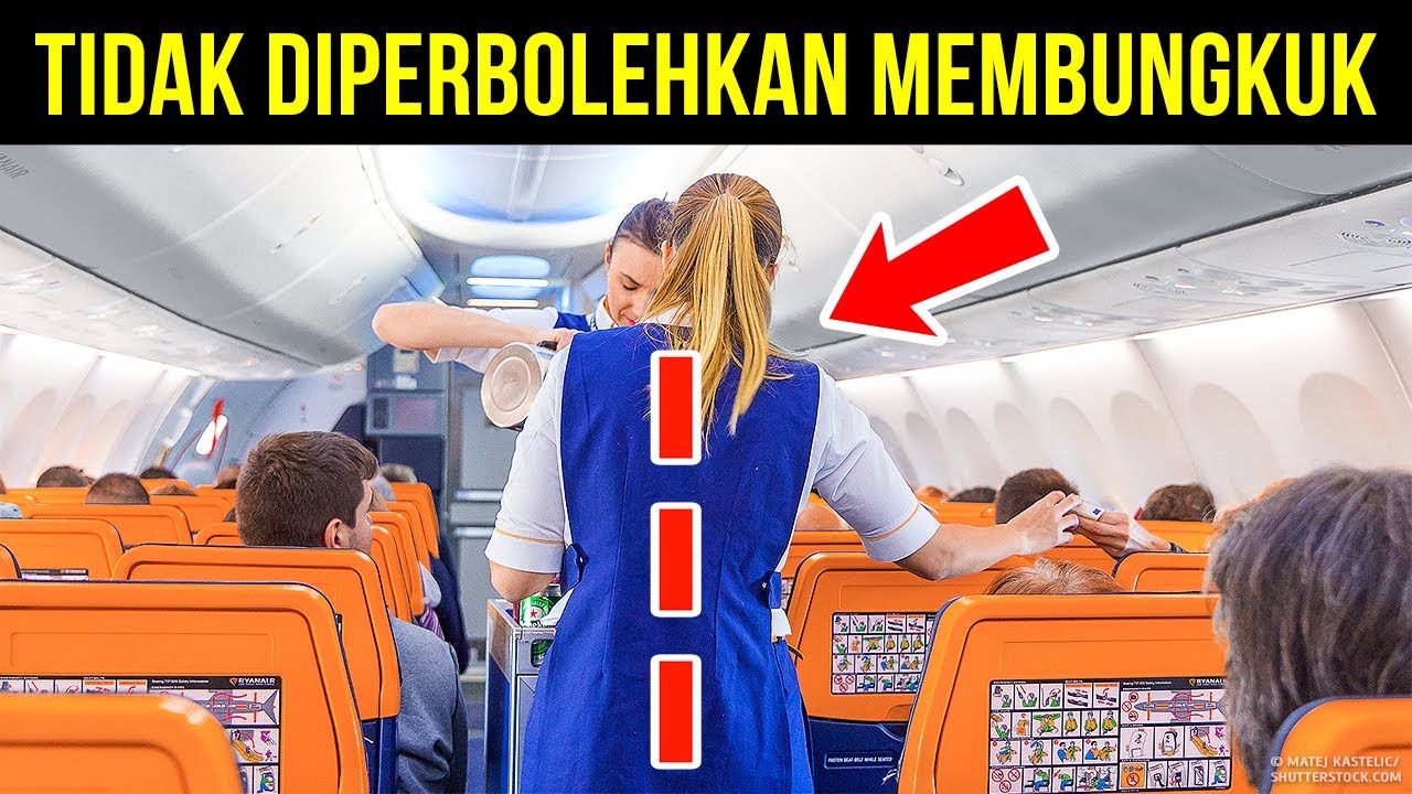 101 Fakta Acak untuk Mengisi Otak Anda