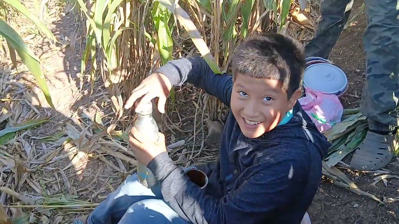 Dia 1 trabajando en una milpa 🤗🌽