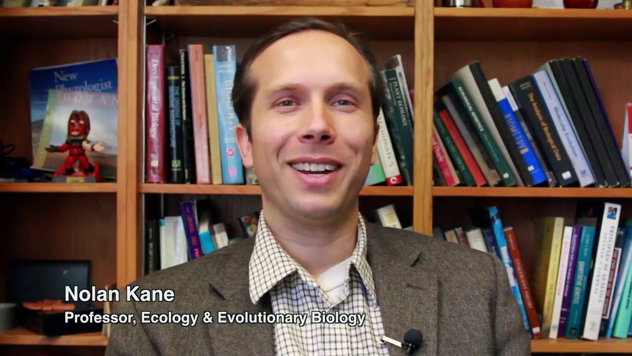 Goals of the Cannabis Genomic Research Initiative