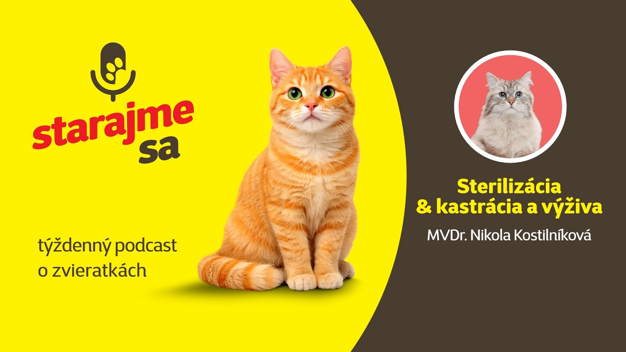 Starajme sa | Mačky: Sterilizácia & kastrácia a výživa