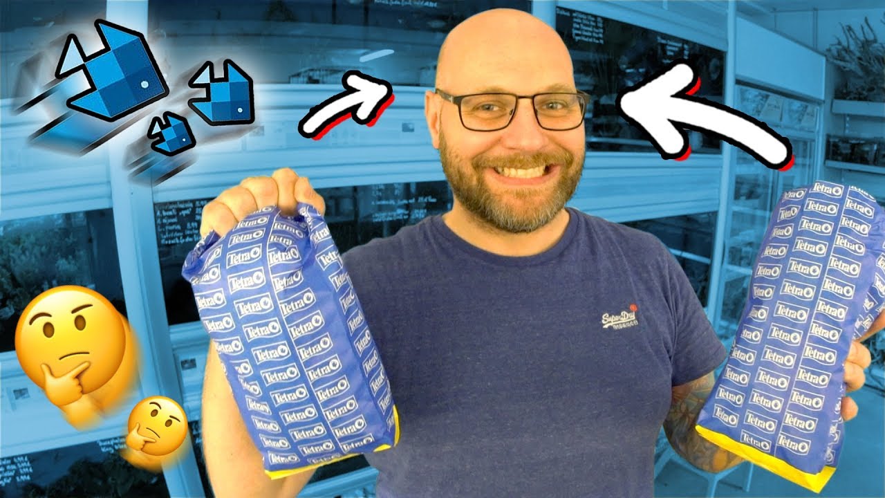 Die letzten Fische für's XXL Aquarium! 😲(Thomas sucht aus!)