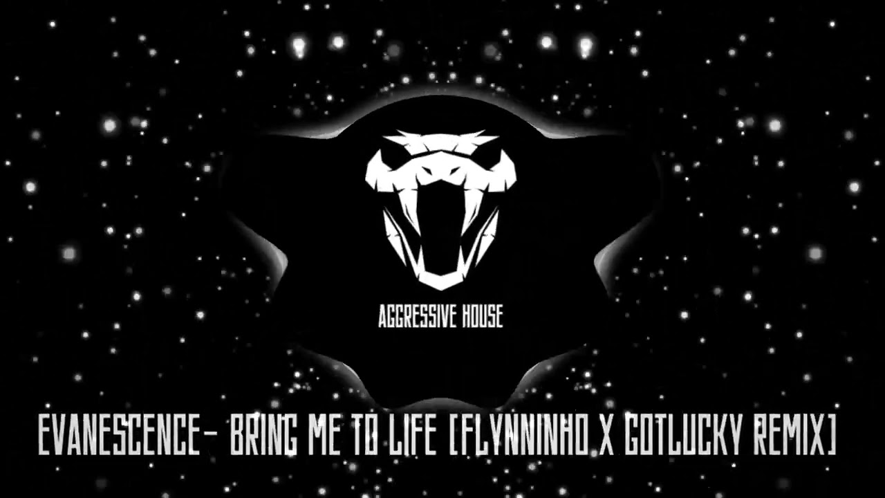 Evanescence - Bring Me To Life (FLYNNINHO x GOTLUCKY REMIX)